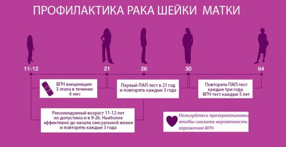 12 мифов про вирус папилломы человека 