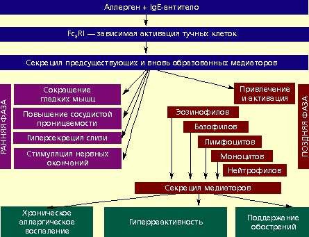 гипосенсибилизация при аллергии